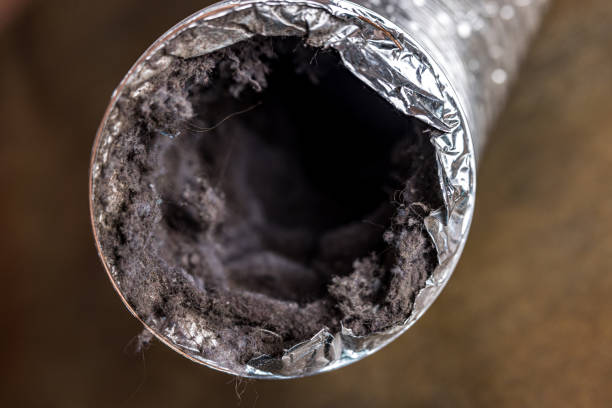 Best Air Duct Sanitizing Services  in Lower Grand Lagoon, FL